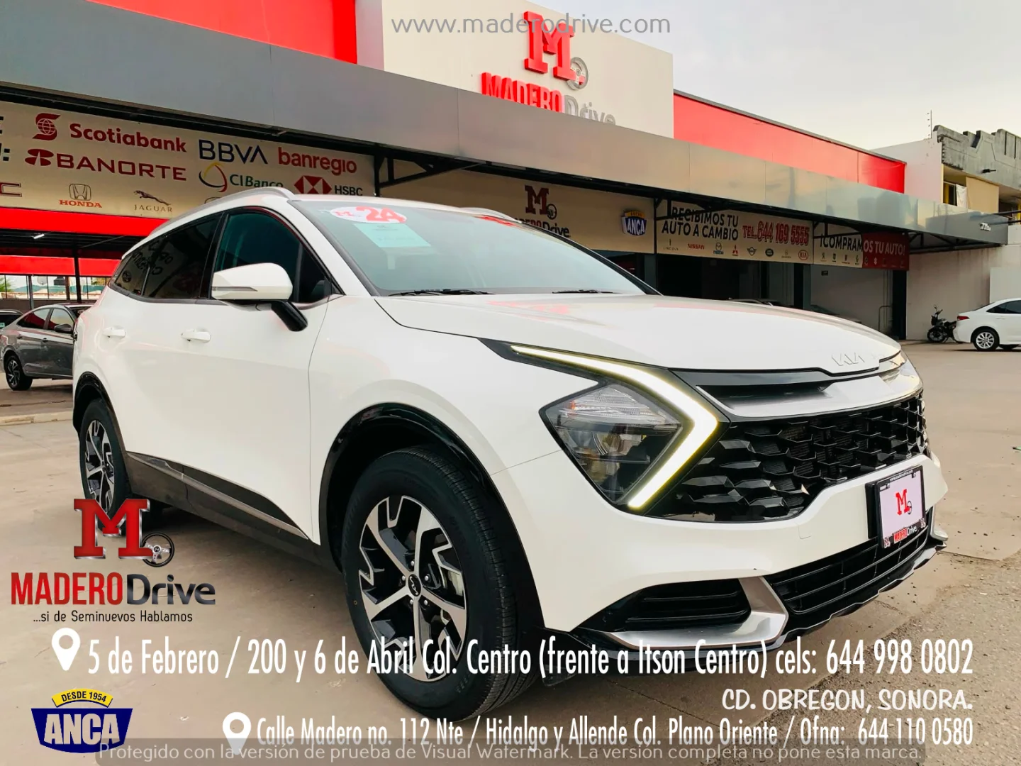 Kia SPORTAGE EX 2024 - Foto 1