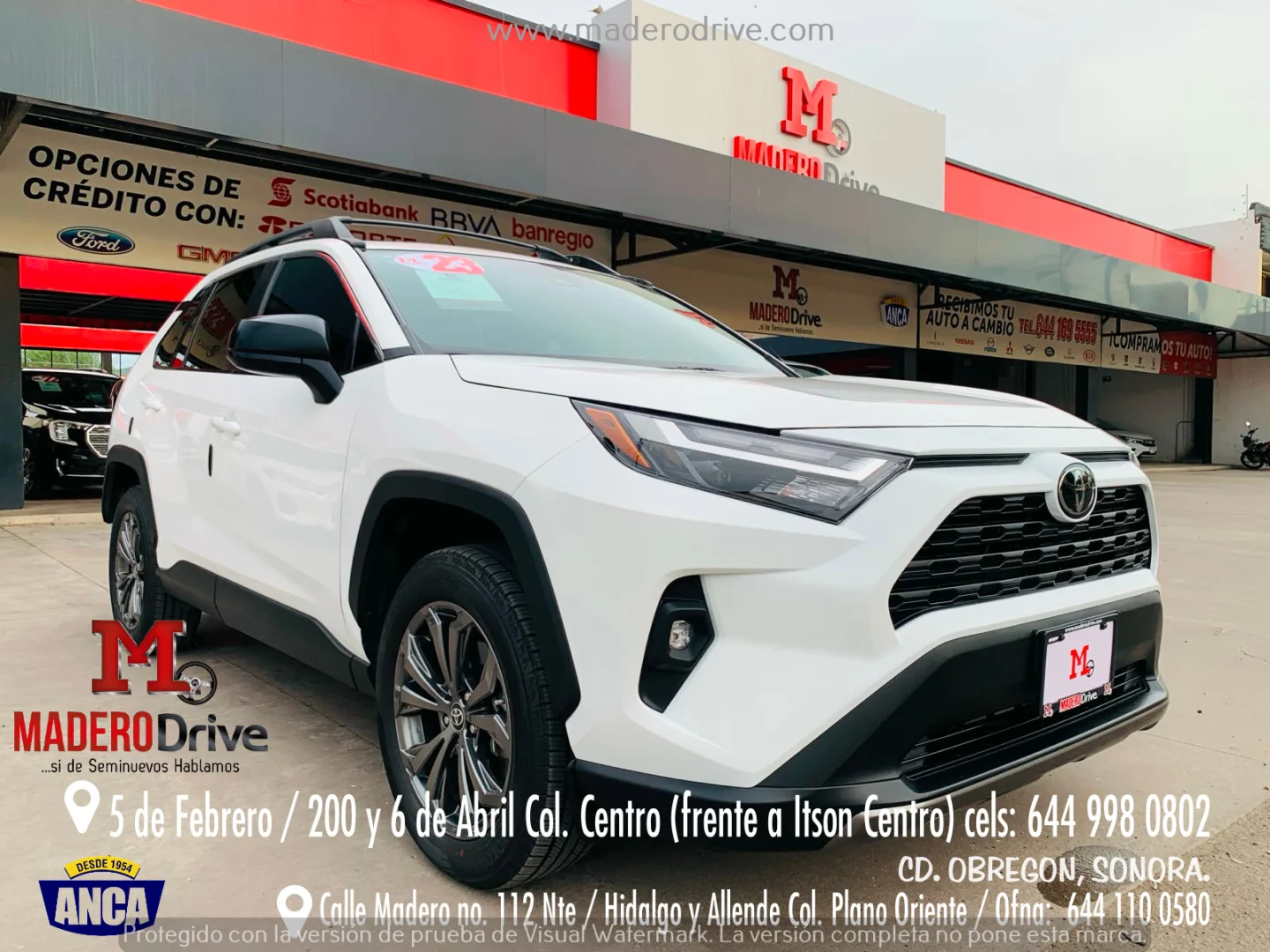 Toyota RAV4 2023 - Foto 1
